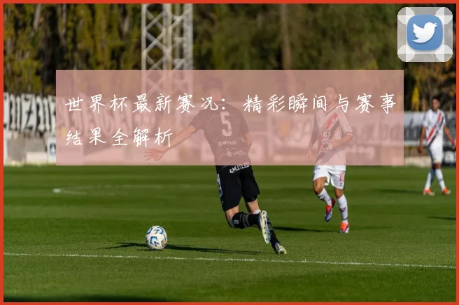 世界杯最新赛况：精彩瞬间与赛事结果全解析